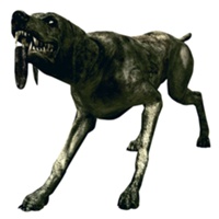 RE 5 "Adjule" dog